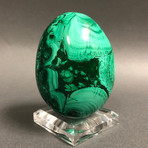 Beautiful Polished Malachite Egg // 1.22 lbs // 3.2"