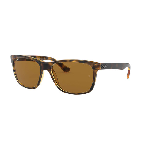 Acetate Square Polarized Sunglasses // Tortoise + Brown