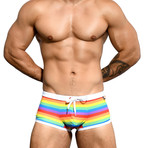 Rainbow Stripe Swim Trunk // Rainbow Stripe (L)