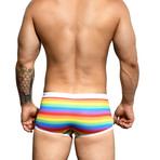 Rainbow Stripe Swim Trunk // Rainbow Stripe (L)