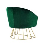 Beatriz Velvet Accent Chair (Green/Gold)