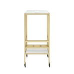 Kelsey Bar Cart (Gold + Walnut)