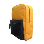 Aaron Backpack // Mustard + Navy + Blue