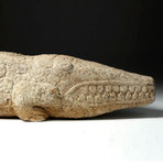 15th C. Indian Stone Effigy of a Makara