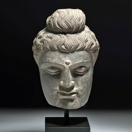 Huge Gandharan Schist Head of Man