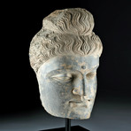 Huge Gandharan Schist Head of Man