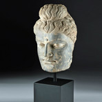 Huge Gandharan Schist Head of Man