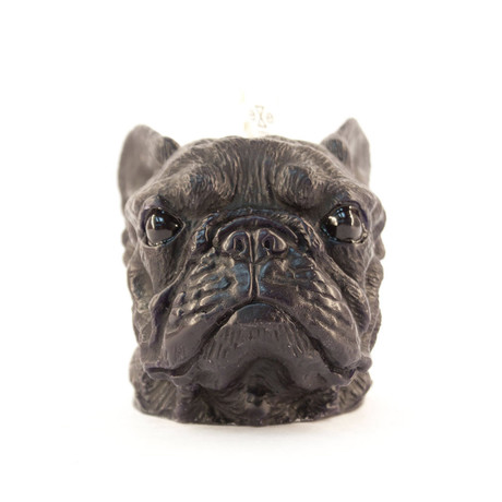 French Bull Dog // Black