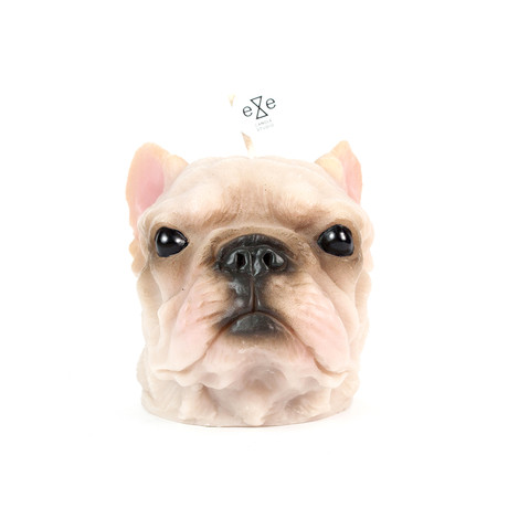 French Bull Dog // Color