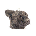 French Bull Dog // Black