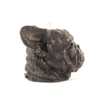 French Bull Dog // Black