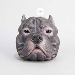 Staffordshire-Bull Terrier // Dark Grey