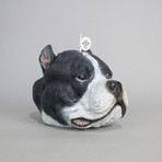 Staffordshire Bull Terrier // Black + White