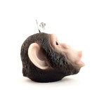 Chimpanzee // Black