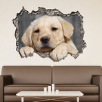 3D Window Labrador Retriever Wall Sticker