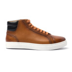 Camden // Chestnut (US: 10)