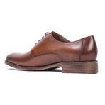 Phoenix Shoe // Walnut (US: 12)