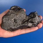 Campo del Cielo Meteorite From Argentina // 4lbs