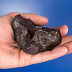 Campo del Cielo Meteorite From Argentina // 1.36lbs