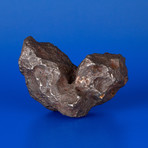 Campo del Cielo Meteorite From Argentina // 1.36lbs