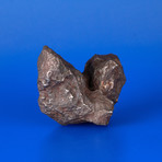 Campo del Cielo Meteorite From Argentina // 1.36lbs