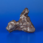 Campo del Cielo Meteorite From Argentina // 1.5lbs