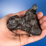 Campo del Cielo Meteorite From Argentina // 1.5lbs