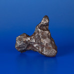 Campo del Cielo Meteorite From Argentina // 1.5lbs