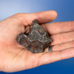 Campo del Cielo Meteorite From Argentina // 0.55lbs