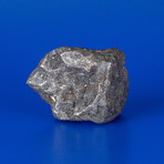 Campo del Cielo Meteorite From Argentina // 0.32lbs