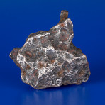 Campo del Cielo Meteorite From Argentina // 0.55lbs