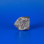 Campo del Cielo Meteorite From Argentina // 0.32lbs