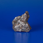 Campo del Cielo Meteorite From Argentina // 0.55lbs