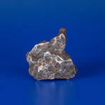 Campo del Cielo Meteorite From Argentina // 0.55lbs