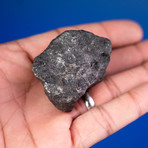 Campo del Cielo Meteorite From Argentina // 0.32lbs