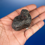 Campo del Cielo Meteorite From Argentina // 0.47lbs