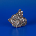 Campo del Cielo Meteorite From Argentina // 0.55lbs