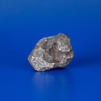 Campo del Cielo Meteorite From Argentina // 0.47lbs