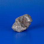 Campo del Cielo Meteorite From Argentina // 0.47lbs