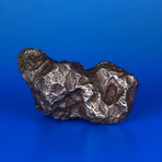 Campo del Cielo Meteorite From Argentina // 2.5lbs