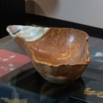 Natural Mexican Onyx Bowl // 28.5lbs