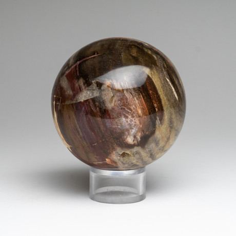 Polished Petrified Wood Sphere // On Stand