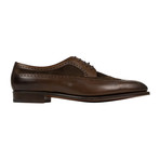 Edward Green // Harrogate Leather Lace Up Dress Shoes // Brown (US: 11)