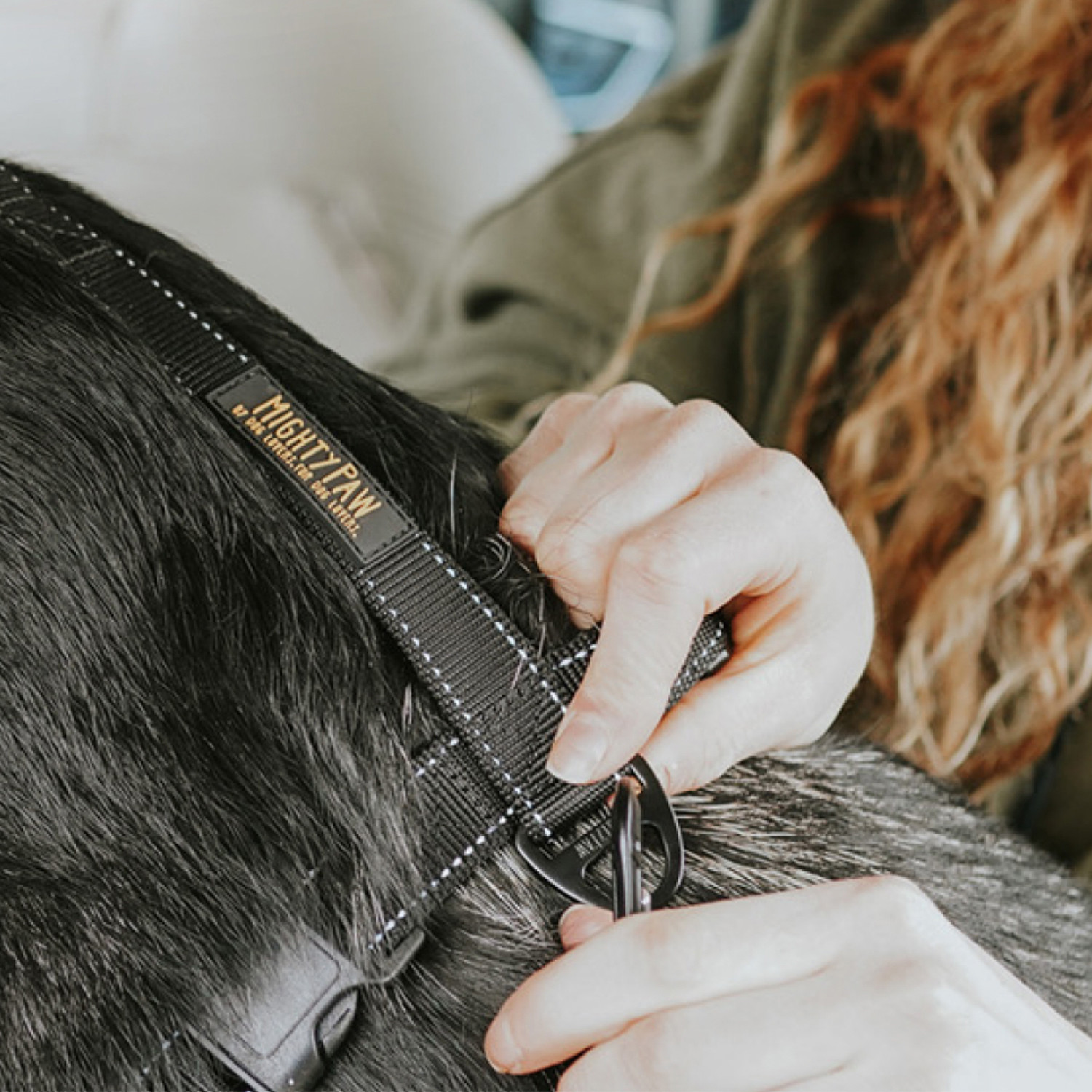 Mighty Paw Safety Belt // Set of 2 Mighty Paw Touch of Modern