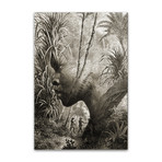 El Africano (27.55"W x 19.68"H)