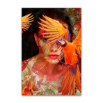 The Parrot (27.55"W x 19.68"H)