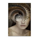 Mysteria (27.55"W x 19.68"H)