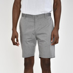 Tech Fabric Shorts // Gray (32)