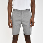 Tech Fabric Shorts // Gray (40)