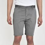 Tech Fabric Shorts // Gray (40)